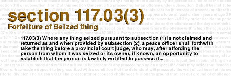 Forfeiture of Seized thing