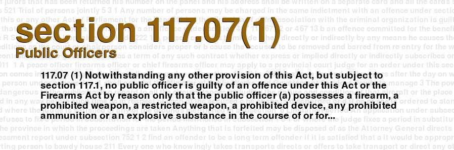 Public Officers