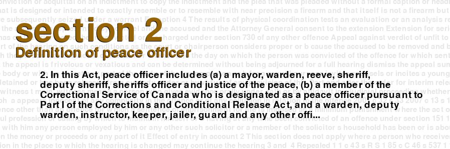 Definition of peace officer