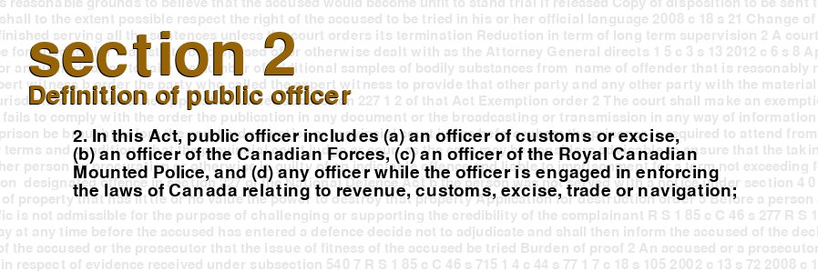 Definition of public officer