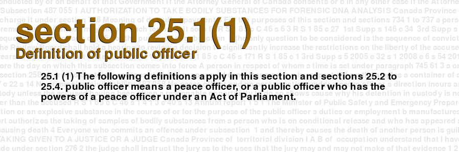 Definition of public officer