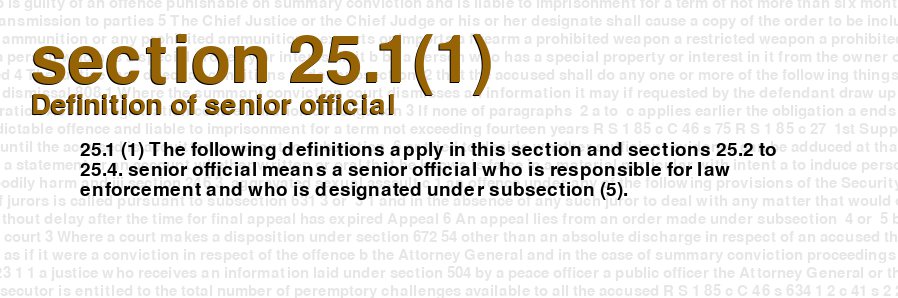 Definition of senior official