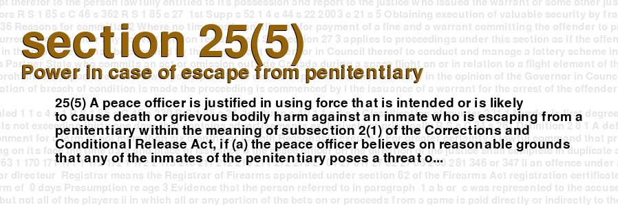 Power in case of escape from penitentiary