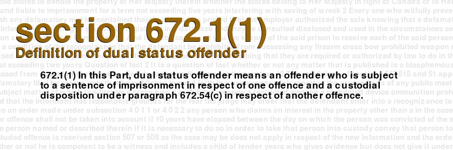 Definition of dual status offender