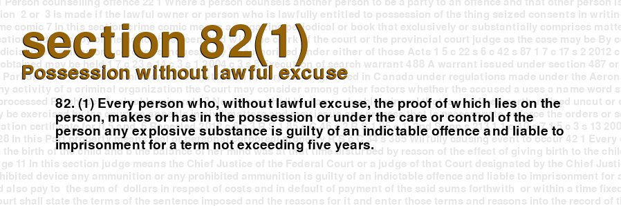 Possession without lawful excuse