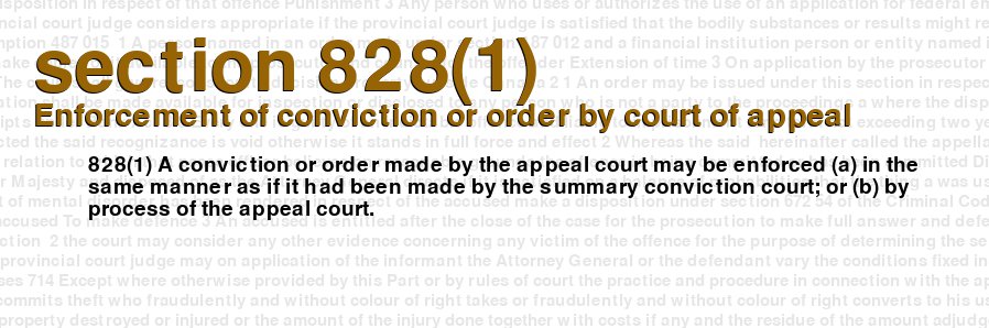 Enforcement of conviction or order by court of appeal