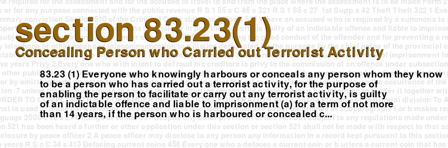 Concealing Person who Carried out Terrorist Activity